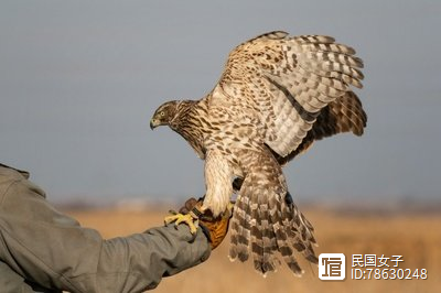 lol投注-包含射击高手稳操胜券，小组头名毫无悬念的词条